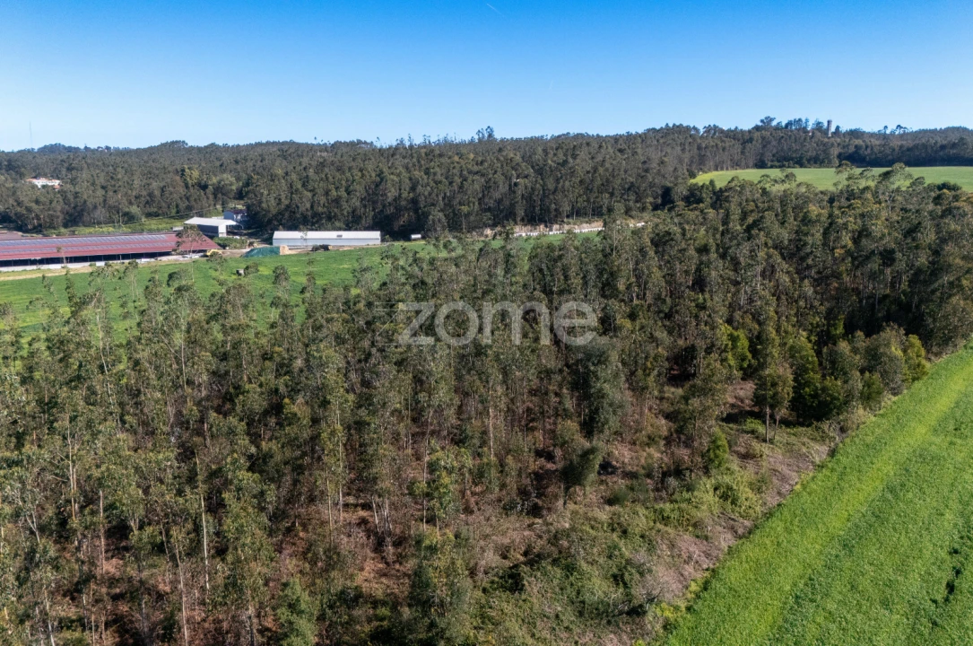 Terreno para Venda em Guilhabreu Foto 13