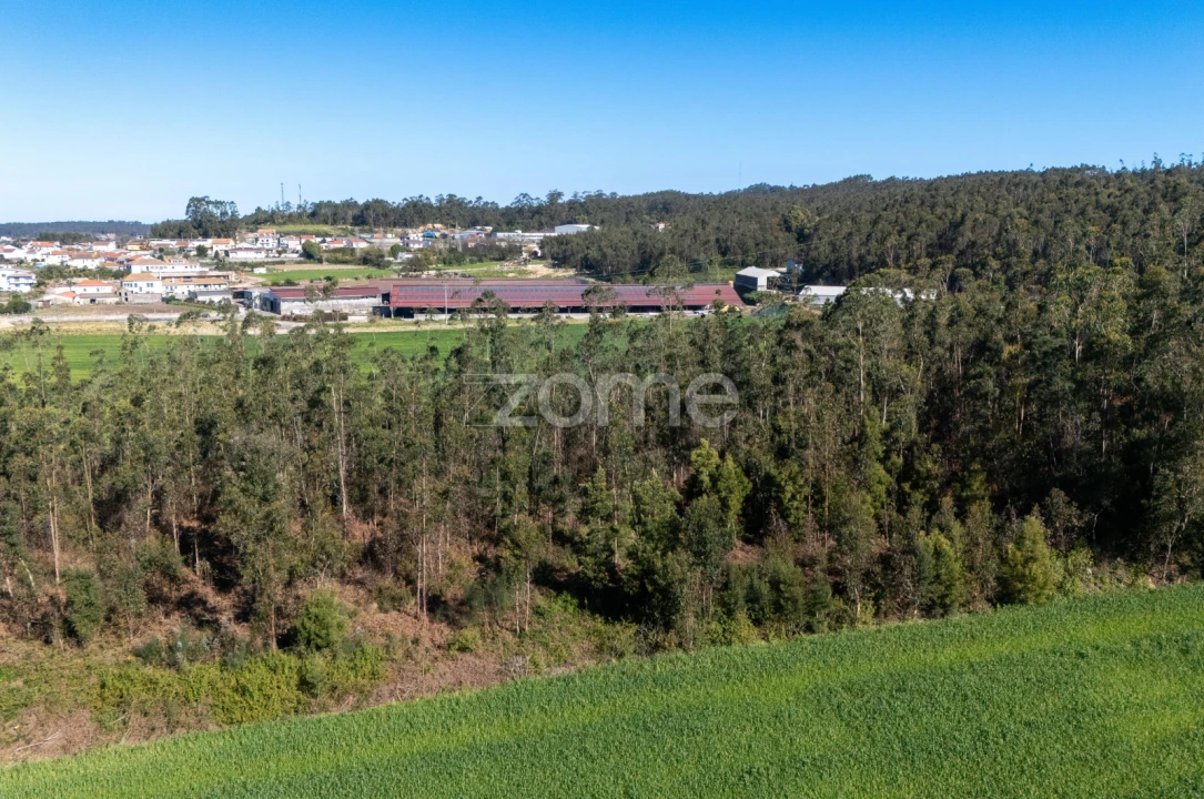Terreno para Venda em Guilhabreu Foto 14