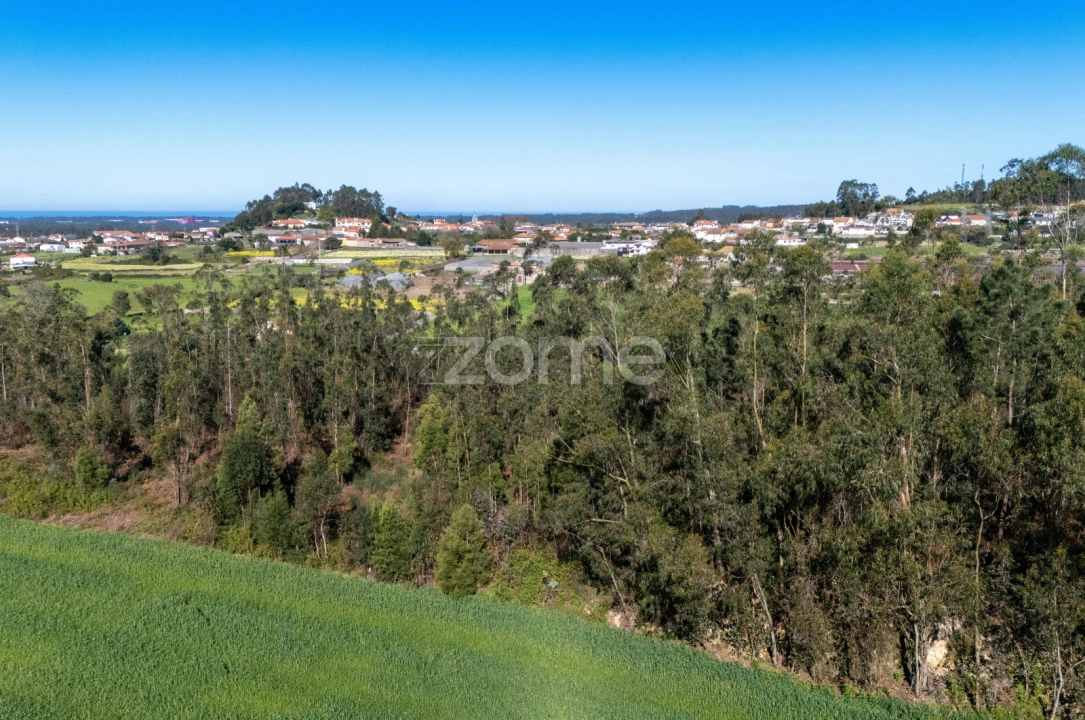 Terreno para Venda em Guilhabreu Foto 15