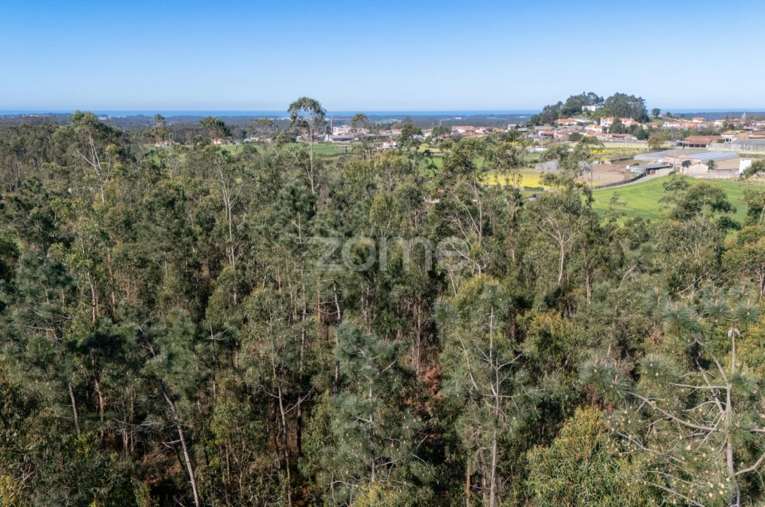 Terreno para Venda em Guilhabreu Foto 16