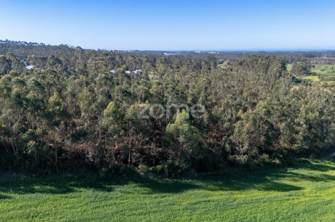 Terreno para Venda em Guilhabreu Foto 17