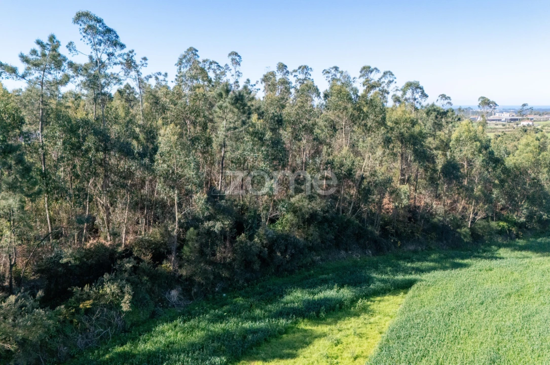 Terreno para Venda em Guilhabreu Foto 18