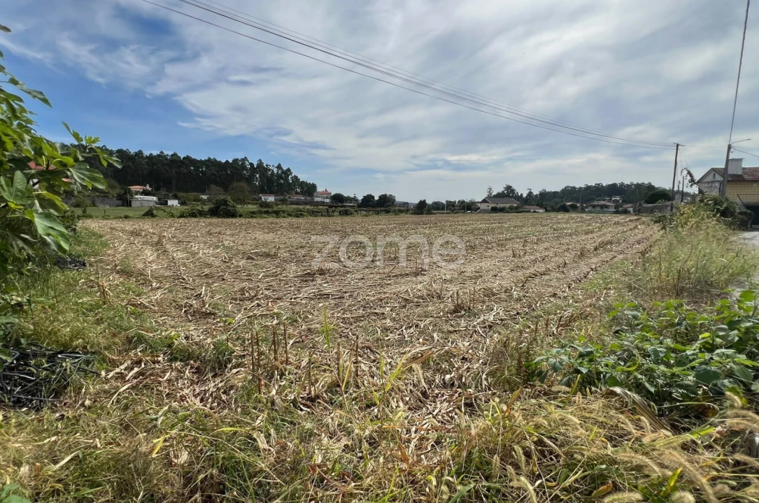 Terreno para Venda em Sequeade e Bastuço (São João e Santo Estêvão) Foto 14