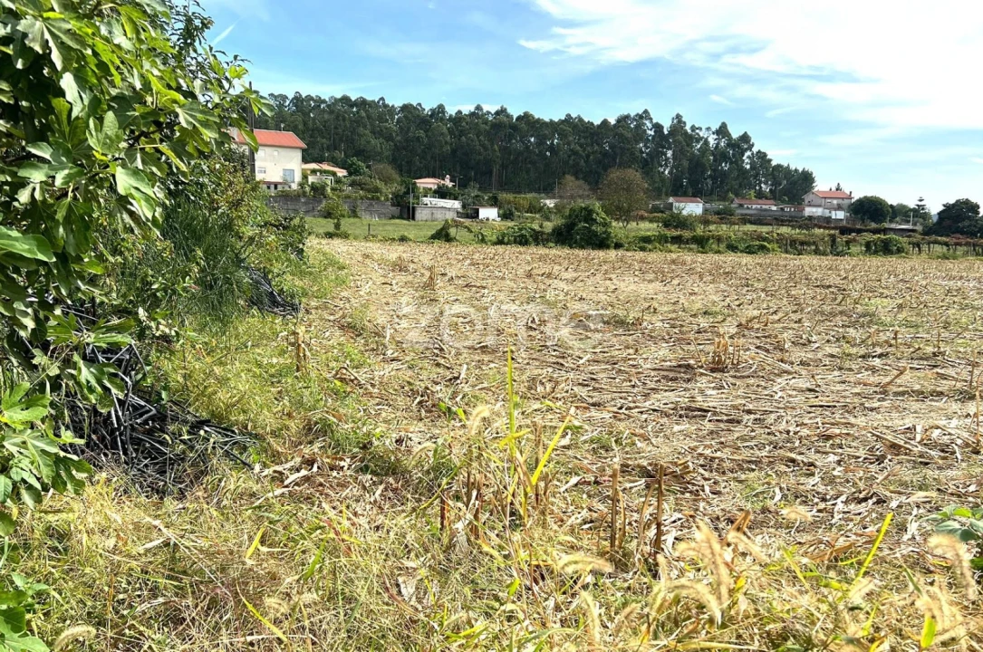 Terreno para Venda em Sequeade e Bastuço (São João e Santo Estêvão) Foto 8