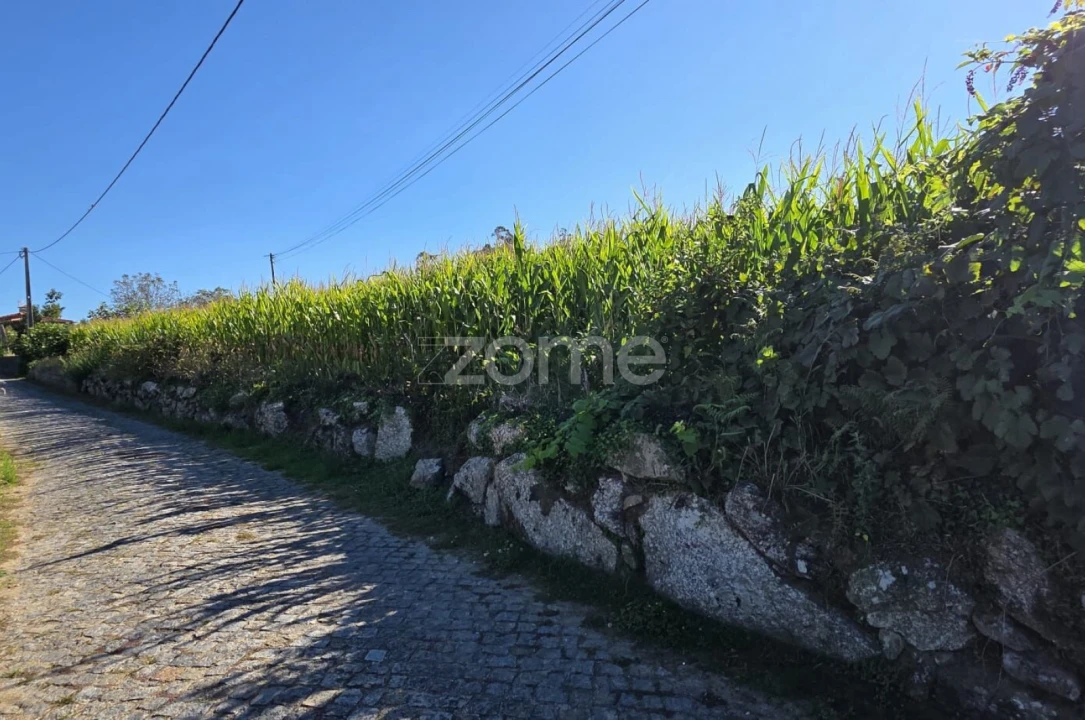 Terreno para Venda em Gamil e Midões Foto 4