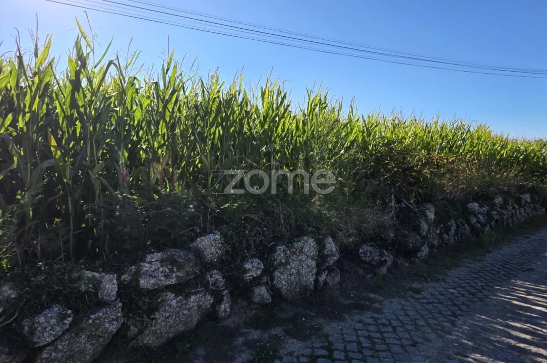 Terreno para Venda em Gamil e Midões Foto 3