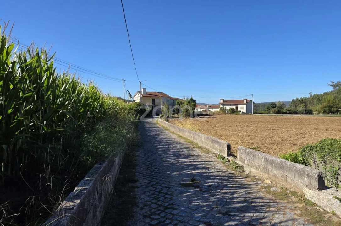 Terreno para Venda em Gamil e Midões Foto 2