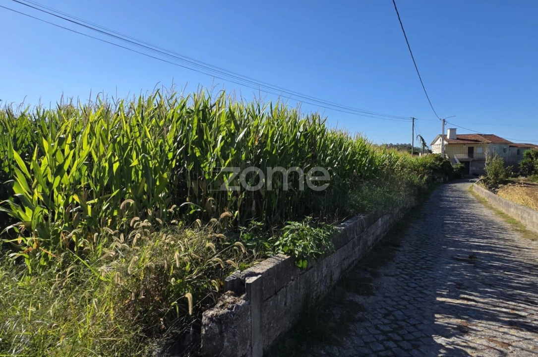 Terreno para Venda em Gamil e Midões Foto 1