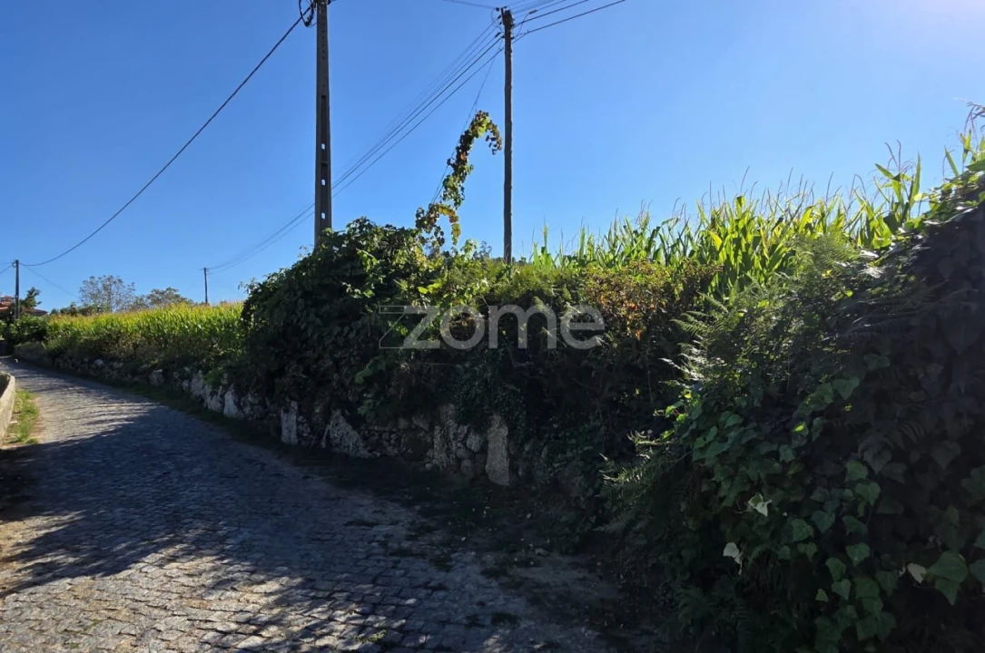Terreno para Venda em Gamil e Midões Foto 5