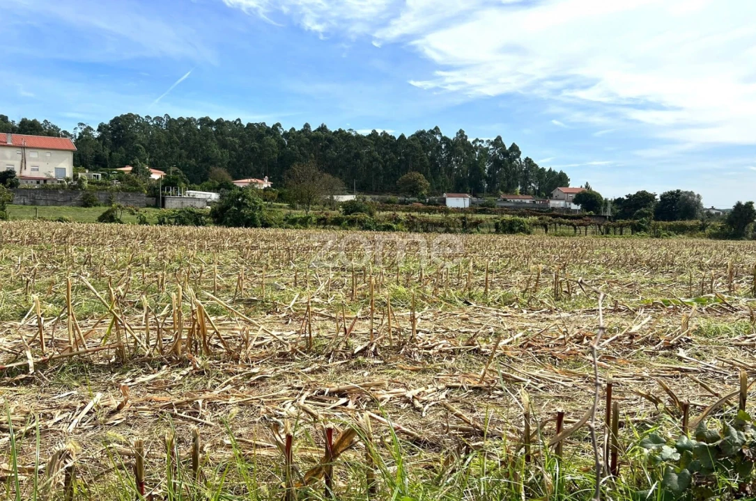 Terreno para Venda em Sequeade e Bastuço (São João e Santo Estêvão) Foto 10