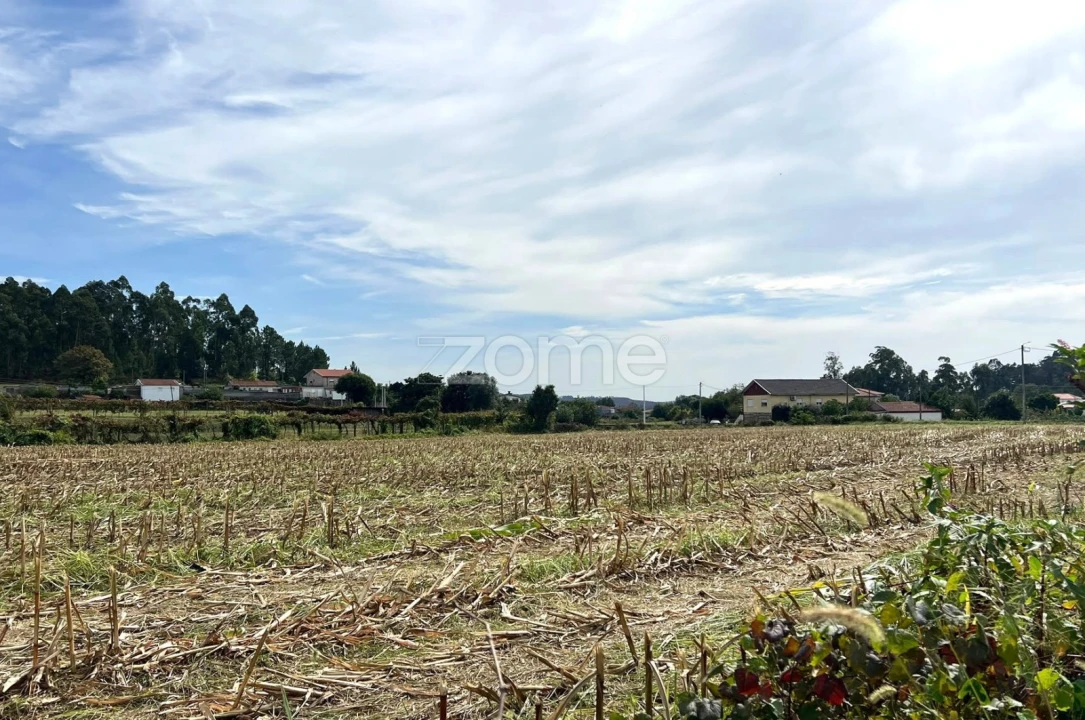 Terreno para Venda em Sequeade e Bastuço (São João e Santo Estêvão) Foto 1