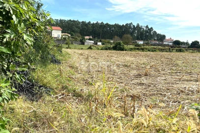 Terreno para Venda em Gamil e Midões