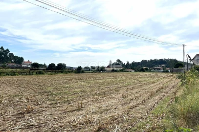 Terreno para Venda em Gamil e Midões