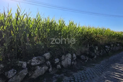 Terreno para Venda em Gamil e Midões