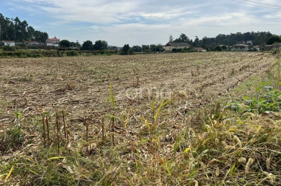 Terreno para Venda em Gamil e Midões
