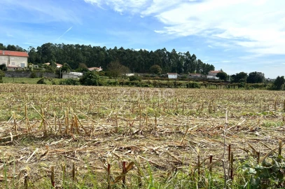 Terreno para Venda em Gamil e Midões