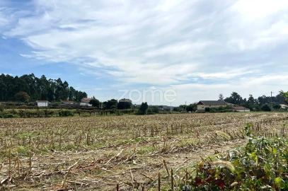 Terreno para Venda em Gamil e Midões