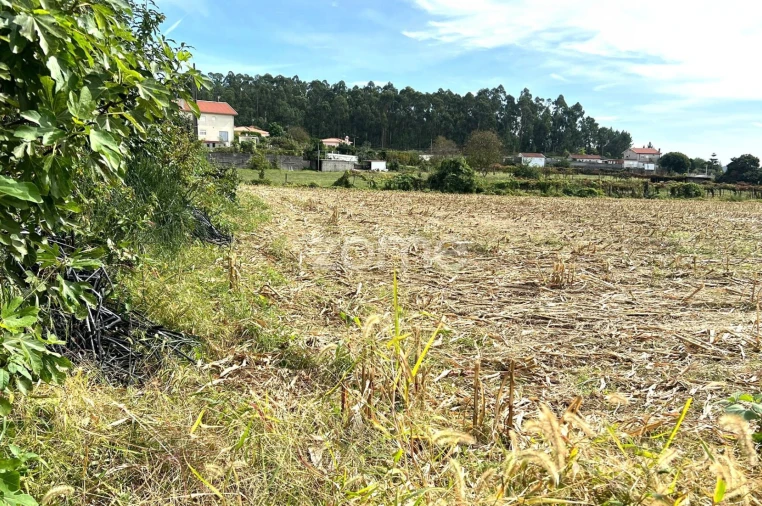 Terreno para Venda em Sequeade e Bastuço (São João e Santo Estêvão) Foto 8