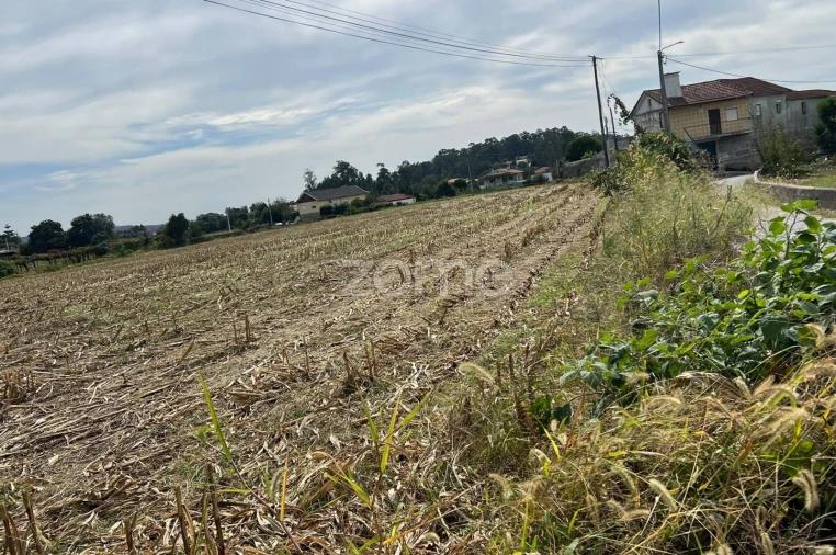 Terreno para Venda em Sequeade e Bastuço (São João e Santo Estêvão) Foto 13