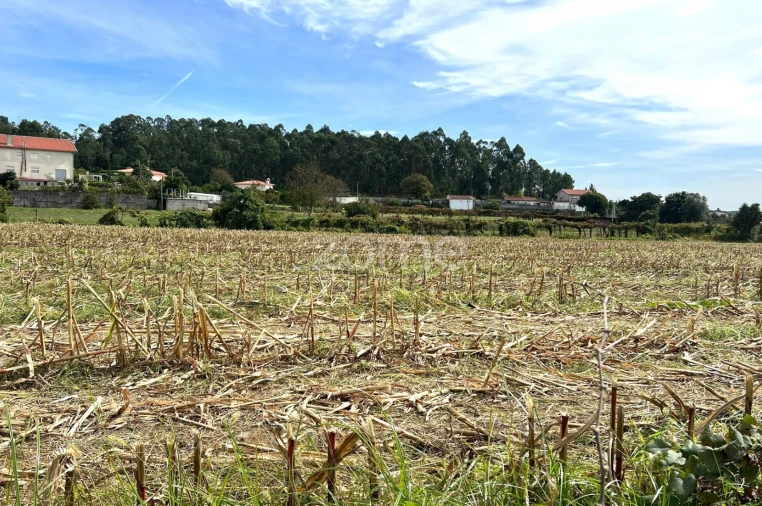 Terreno para Venda em Sequeade e Bastuço (São João e Santo Estêvão) Foto 10