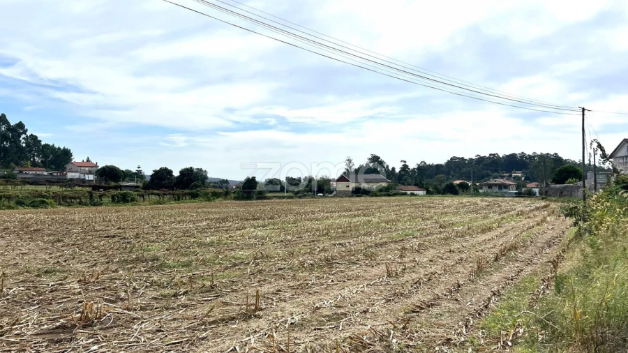 Terreno para Venda em Sequeade e Bastuço (São João e Santo Estêvão)