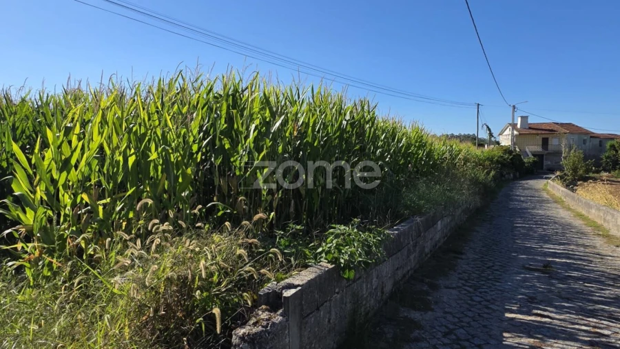 Terreno para Venda em Gamil e Midões