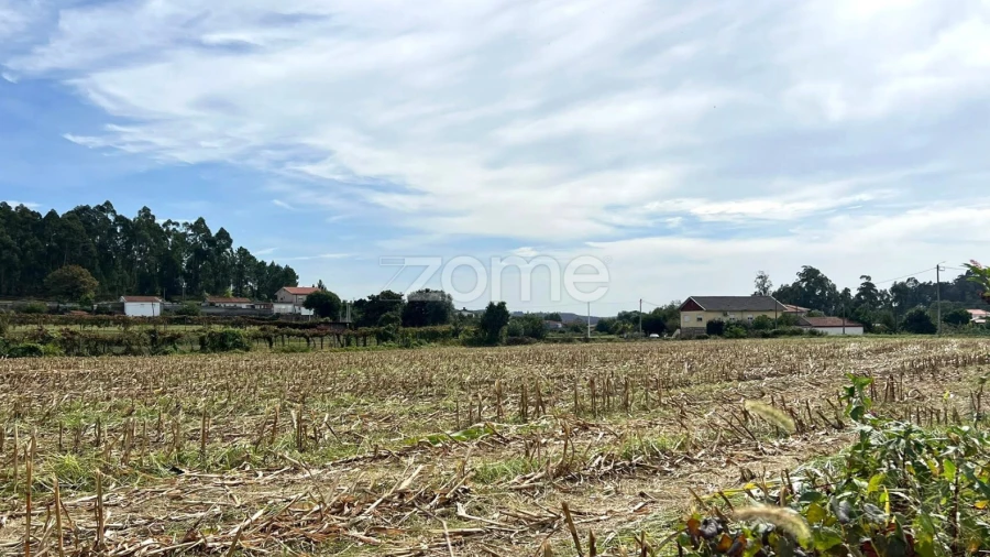 Terreno para Venda em Sequeade e Bastuço (São João e Santo Estêvão)