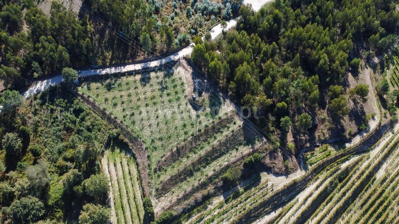 Terreno para Venda em Recezinhos (São Martinho) Foto 3