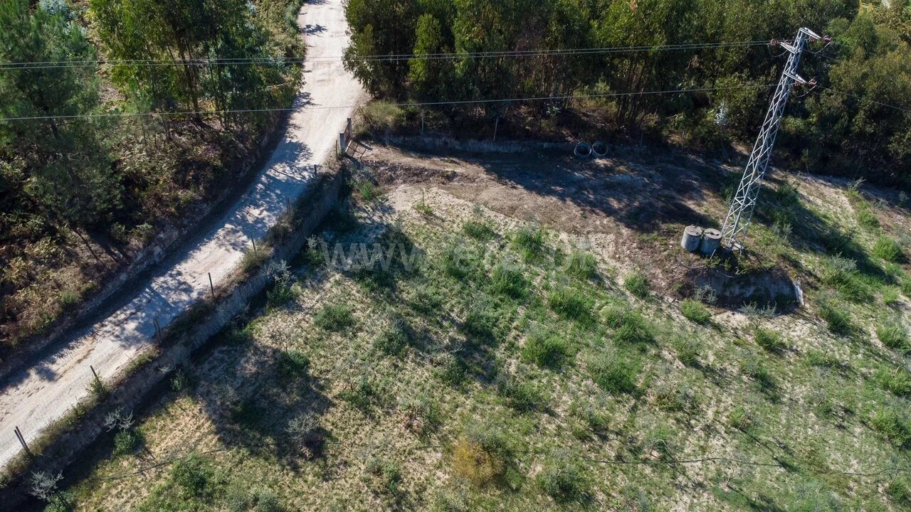 Terreno para Venda em Recezinhos (São Martinho) Foto 4