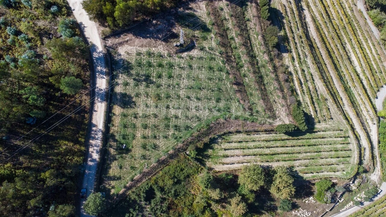 Terreno para Venda em Recezinhos (São Martinho) Foto 1