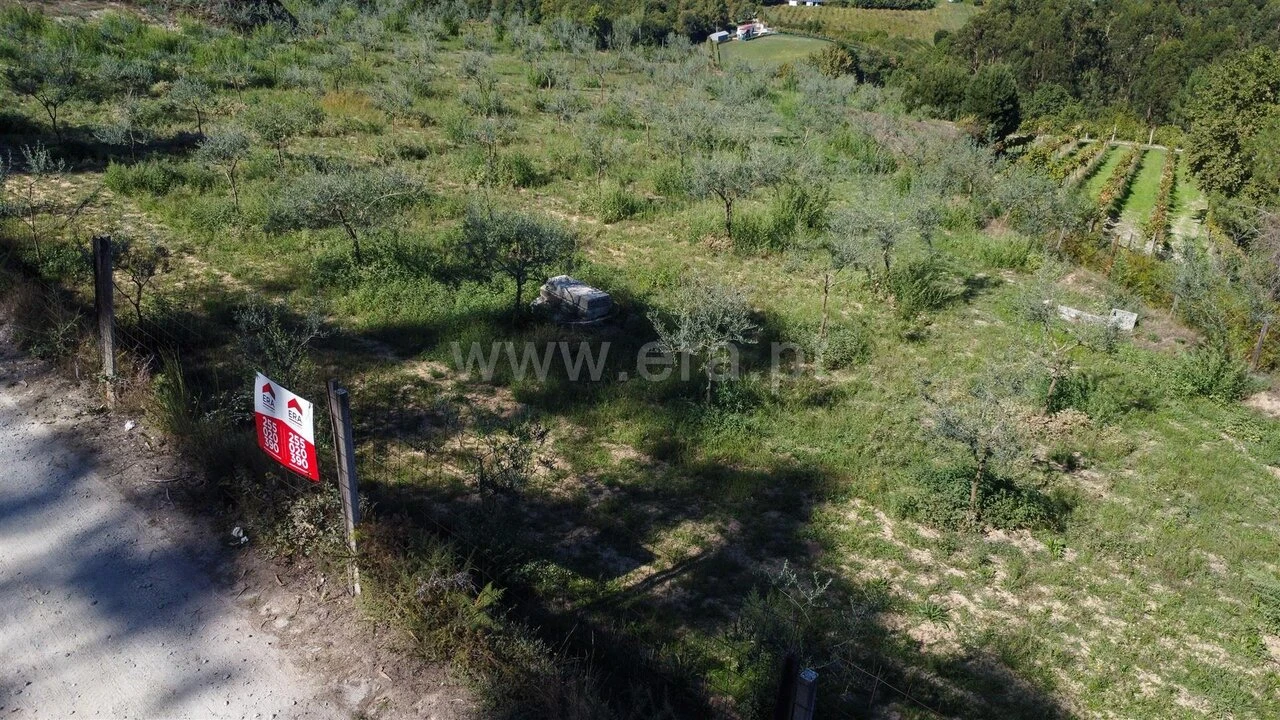 Terreno para Venda em Recezinhos (São Martinho) Foto 5