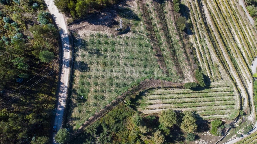 Terreno para Venda em Recezinhos (São Martinho)