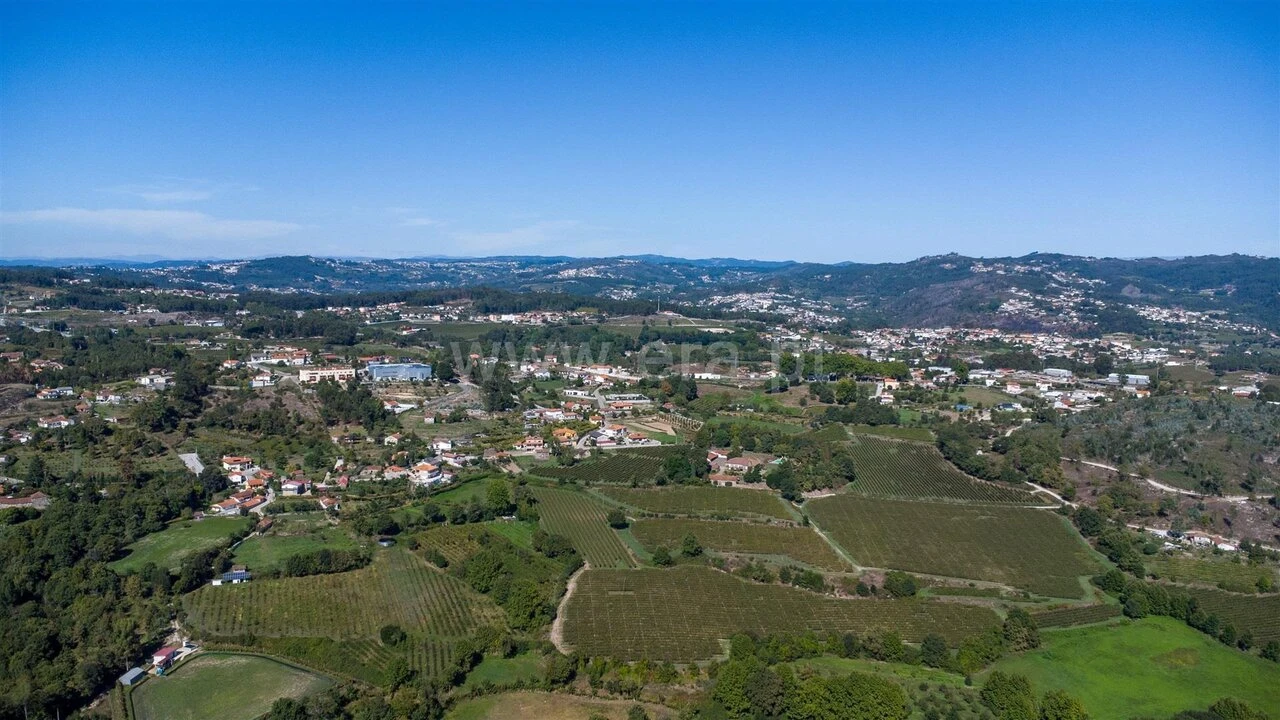 Terreno para Venda em Recezinhos (São Martinho) Foto 2