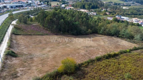 Terreno para Venda em Castelões