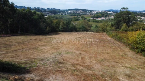 Terreno para Venda em Castelões