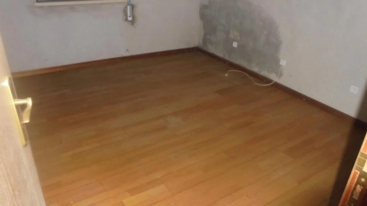 Moradia T3 para Venda em Cadima Foto 6
