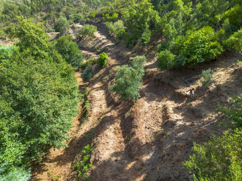 Terreno para Venda em Alferce Foto 6
