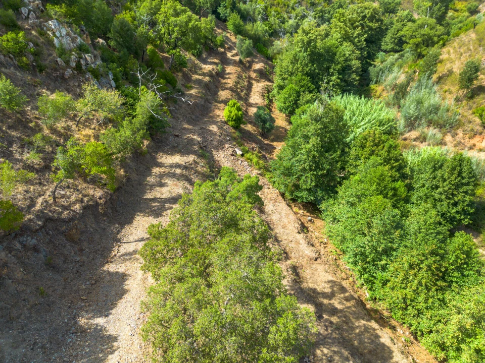 Terreno para Venda em Alferce Foto 4