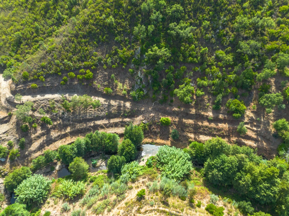 Terreno para Venda em Alferce Foto 5