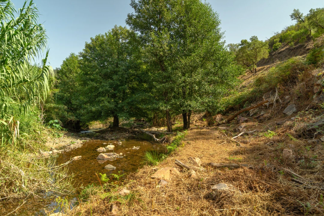 Terreno para Venda em Alferce Foto 1