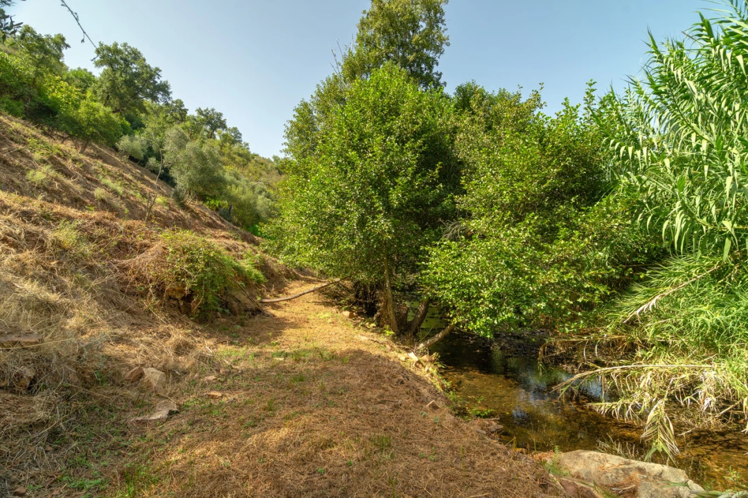 Terreno para Venda em Alferce Foto 3