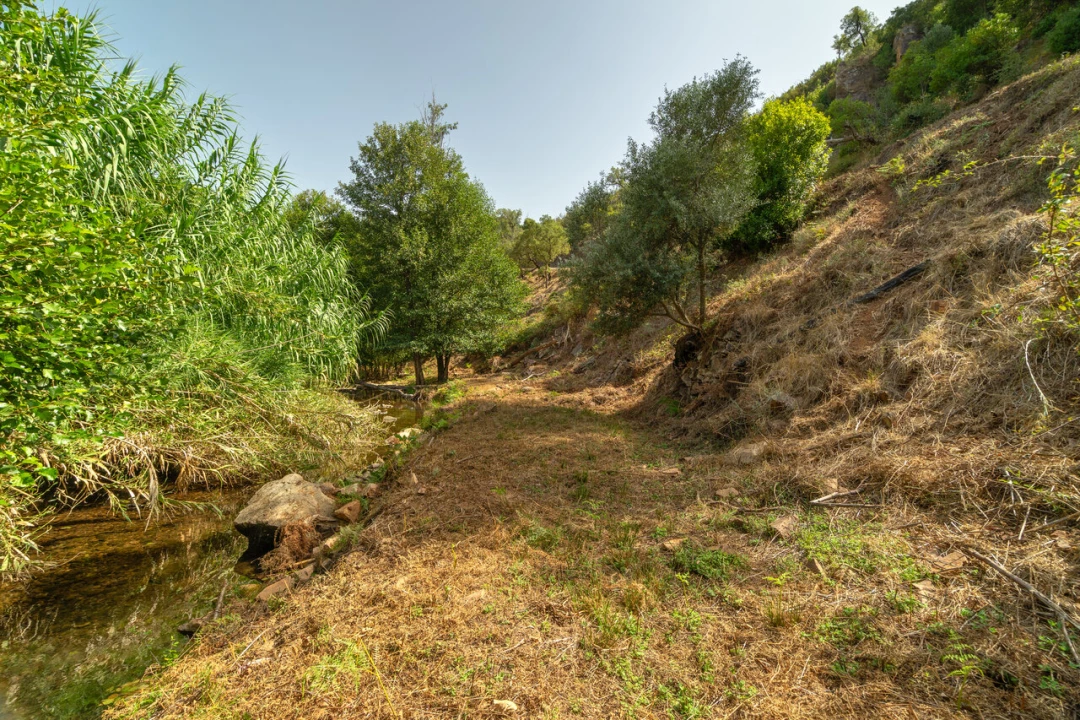 Terreno para Venda em Alferce Foto 10