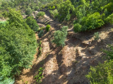 Terreno para Venda em Alferce