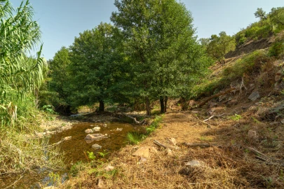 Terreno para Venda em Alferce