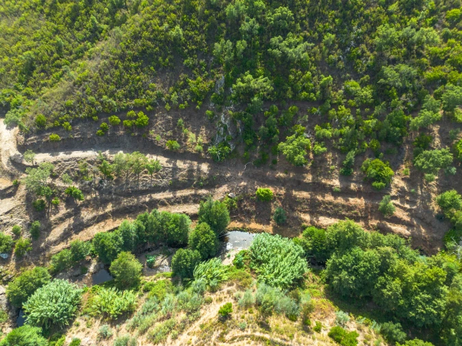 Terreno para Venda em Alferce Foto 5