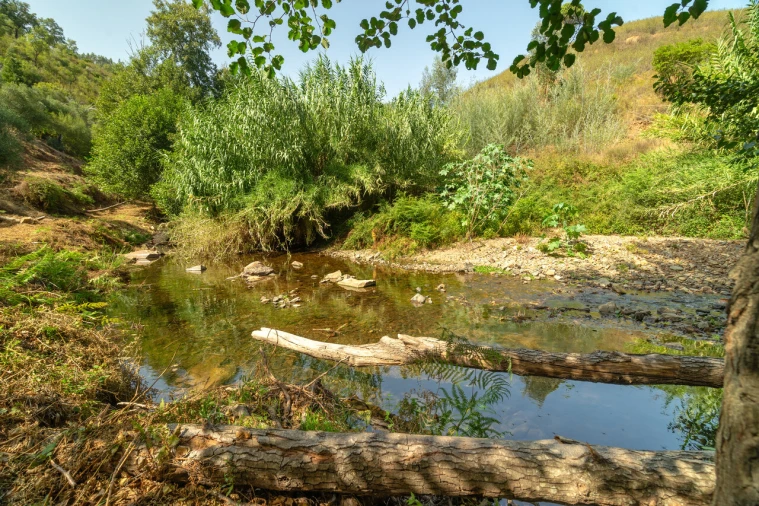 Terreno para Venda em Alferce Foto 2