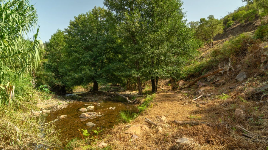 Terreno para Venda em Alferce