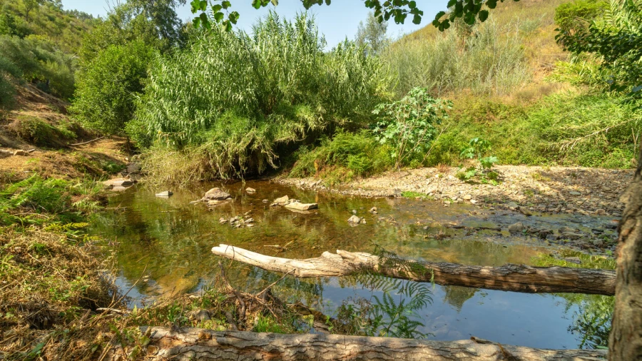 Terreno para Venda em Alferce