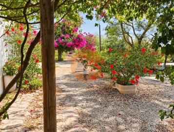 Moradia T5 para Venda em Tavira (Santa Maria e Santiago)