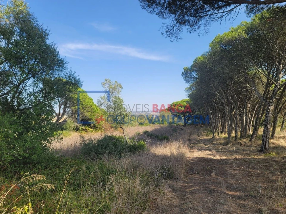 Terreno Agricola ou Rústico para Venda em São João das Lampas e Terrugem Foto 1